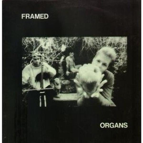 Framed  - Organs