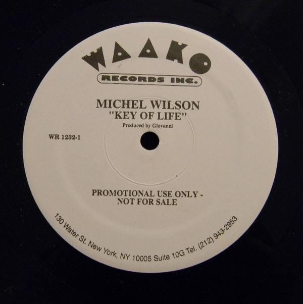 Michelle Wilson - Key Of Life