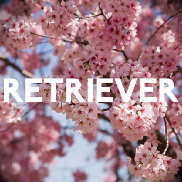 Retriever  - Murder / Lion