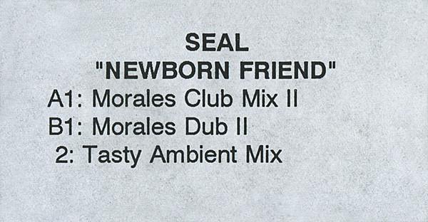 Seal - Newborn Friend