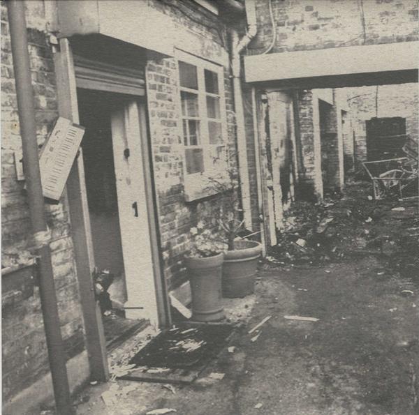 The Rushes - Ripping It Down