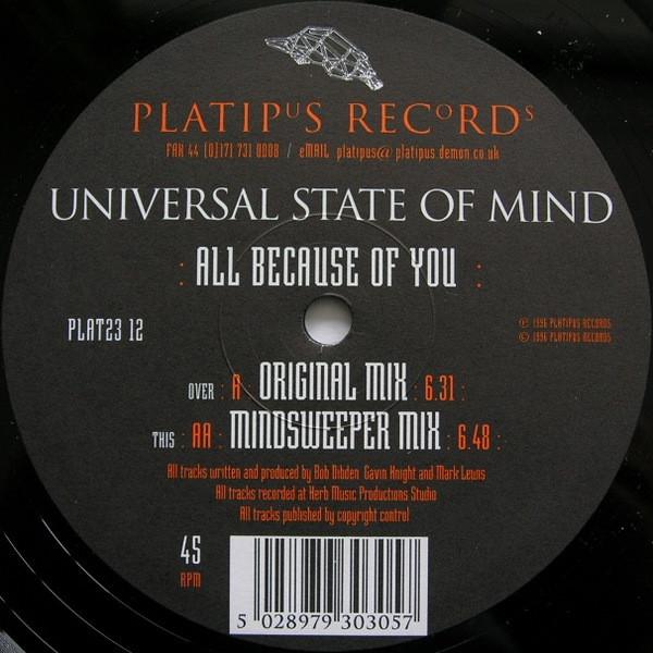 Universal State Of Mind - All Because Of You